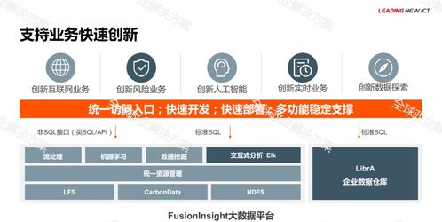 華為金融大數據解決方案的軟件開發實踐